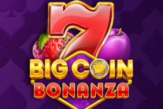 Big Coin Bonanza