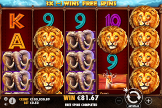 Big win in a free spin feature