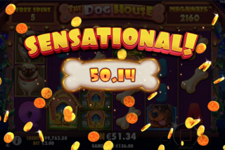 Big win in The Dog House Megaways slot machine