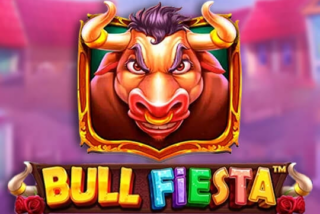 Bull Fiesta