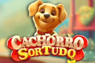 Cachorro Sortudo