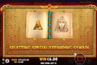 Expanding symbol is picked at random for entire duration of Free Spins feature