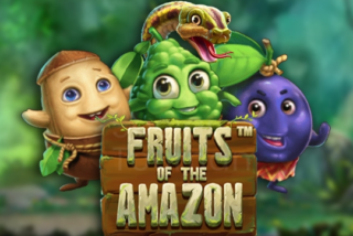 Fruits of the Amazon