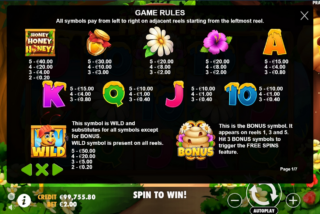 Full paytable for the Honey Honey Honey slot