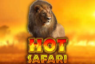 Hot Safari