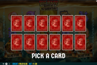 Pick a card to decide which bonus game will play out