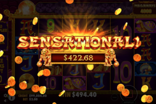 Sensational win in the 5 Lions Megaways 2 slot machine