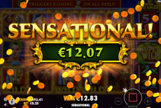 Sensational win thanks to the Super Wilds multiplier