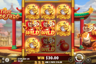 Win in the Tigre Sortudo slot