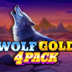 Wolf Gold 4 Pack